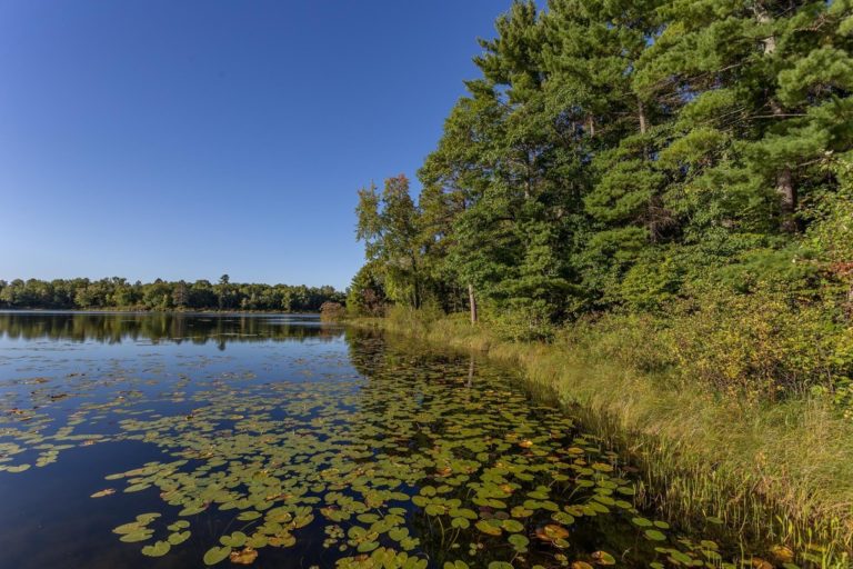 Lakefront Double Lot at Barrow Lake Near Hackensack Minnesota – UmmahCom