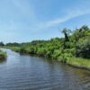 Outstanding Chicot Bayou Creek