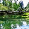 Sensational Central Park Tree-covered Paradise