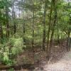 beautiful wooded lot in Briarcliff