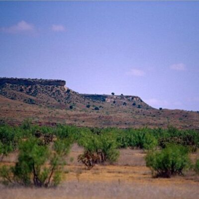 impressive West Texas Dream