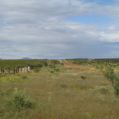 Panoramic West Texas Oasis in La Hacienda Estates