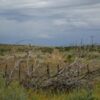 Expansive West Texas Oasis