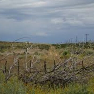 Expansive West Texas Oasis