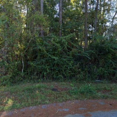Pascagoula River area wooded corner lot