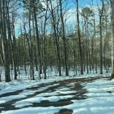 attractive wooded Lake Cortez quarter acre lot