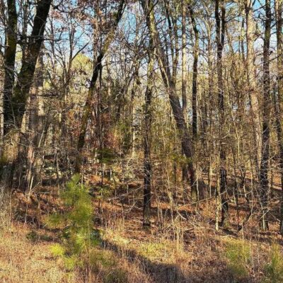 exceptional quarter acre homesite on Nottingham Rd