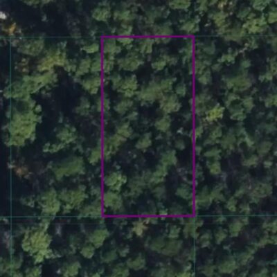 picturesque wooded Ocean Springs lot