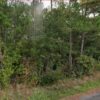 picturesque wooded Ocean Springs lot