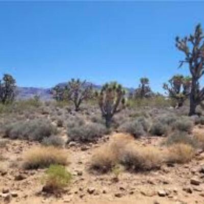 Panoramic Lake Mead City