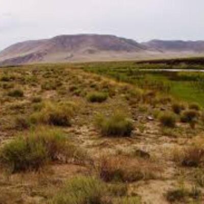 Astonishing 1/4-Acre Colorado