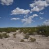 Gorgeous 10.5-Acre Parcel