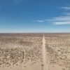 striking 10.5-acre