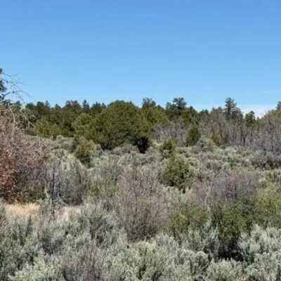 pleasing 1/4-acre