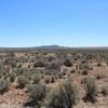 magnificent quarter acre lot