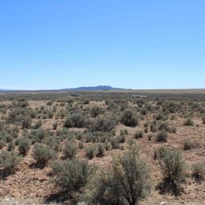 magnificent quarter acre lot
